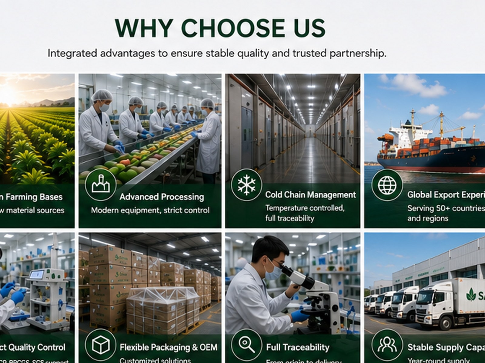 Built for Reliable International Trade